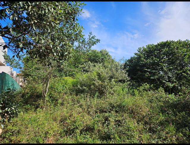 1,160M² VACANT LAND FOR SALE IN HAWAAN FOREST ESTATE